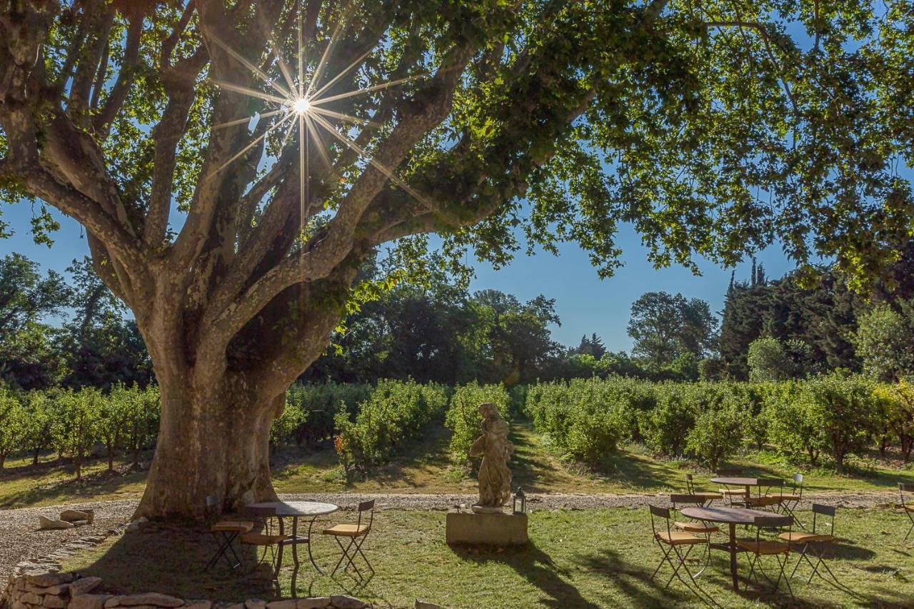 Mas De Capelou Bed & Breakfast Avignon Exterior photo